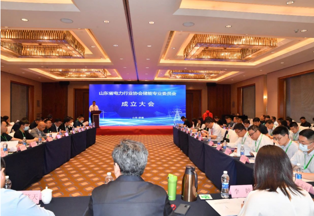 山东省电力行业协会储能专业委员会成立大会暨储能领袖峰会在济南召开